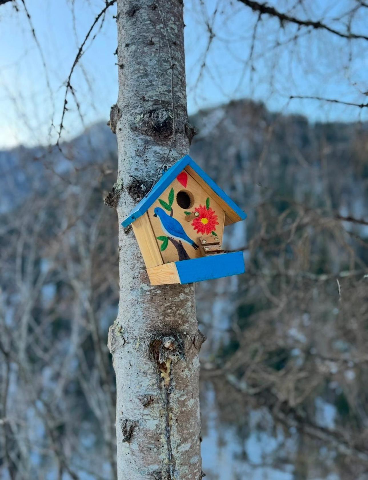 Hotel Sairme Glampings Zewnętrze zdjęcie